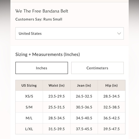 NWT Free People Bandana Belt in Sunstone - Picture 4 of 7